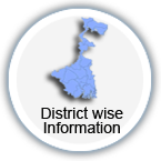 District wise Information