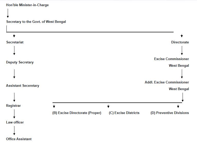 Organisation Structure